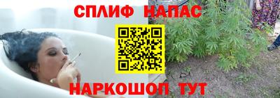 сатива Нягань