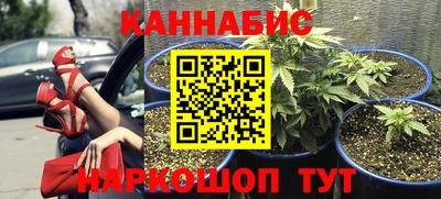 ECSTASY Обь